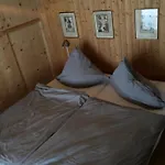 Haus Schwarz * Savognin